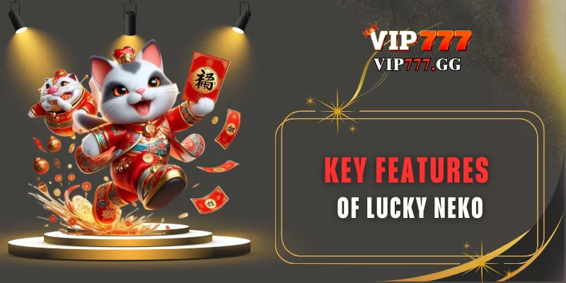 key features of lucky neko